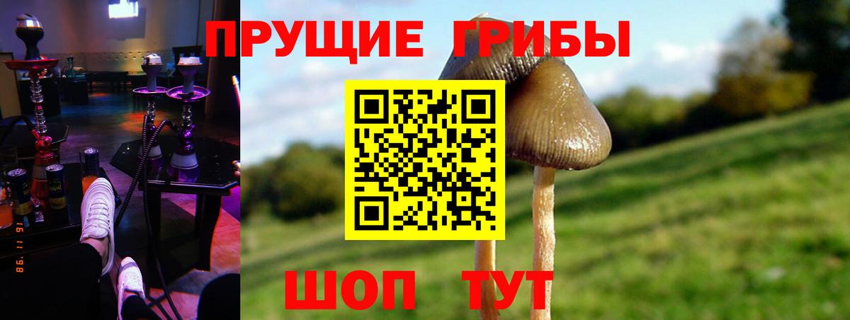 Галлюциногенные грибы Psilocybine cubensis  Вход с VPN  Чайковский 